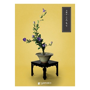 �J�^���O�M�t�g ���t �������